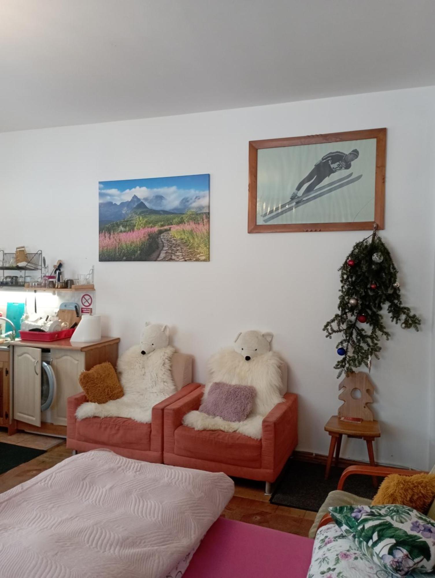 A3Apartament 2 Pokojowy Aneks Kuchenny 2 Lazienki Wlasne Na Korytarzu Villa Jumper Pobyt Na Termach Dla 2 Osob Gratis Zakopane Ngoại thất bức ảnh