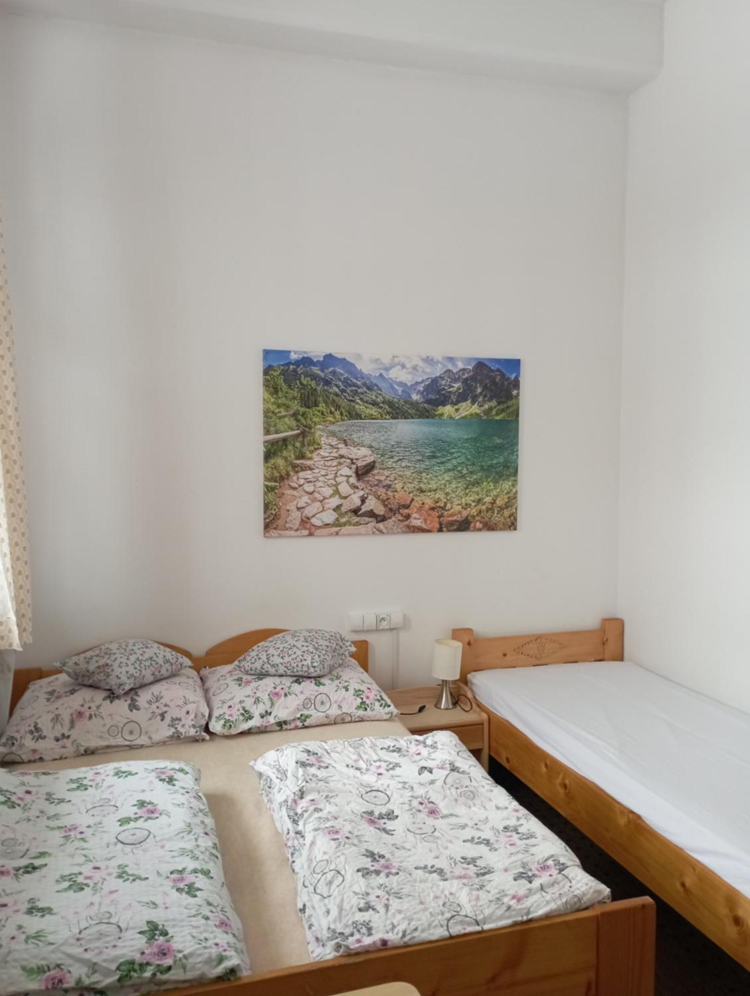 A3Apartament 2 Pokojowy Aneks Kuchenny 2 Lazienki Wlasne Na Korytarzu Villa Jumper Pobyt Na Termach Dla 2 Osob Gratis Zakopane Phòng bức ảnh