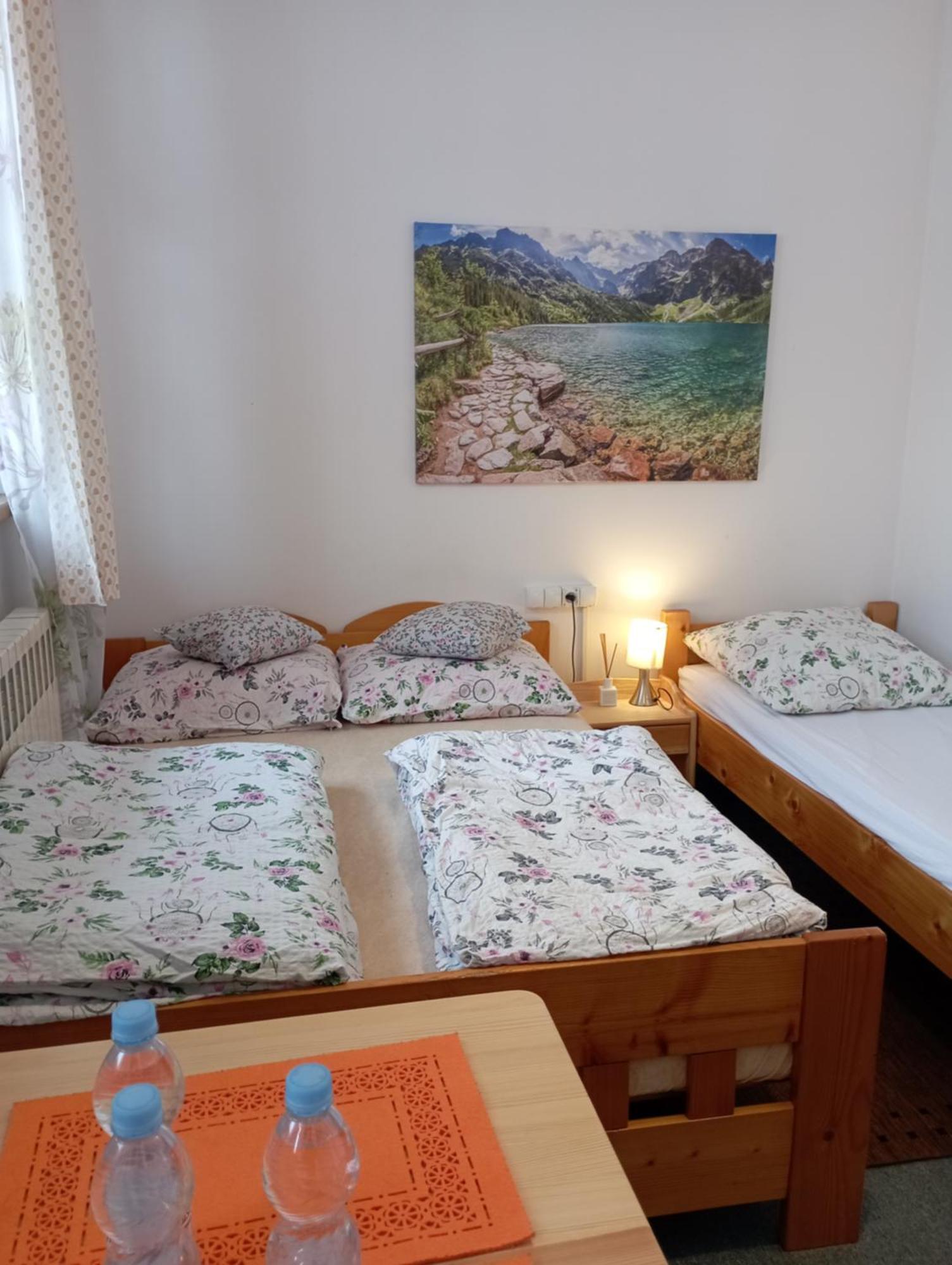 A3Apartament 2 Pokojowy Aneks Kuchenny 2 Lazienki Wlasne Na Korytarzu Villa Jumper Pobyt Na Termach Dla 2 Osob Gratis Zakopane Phòng bức ảnh